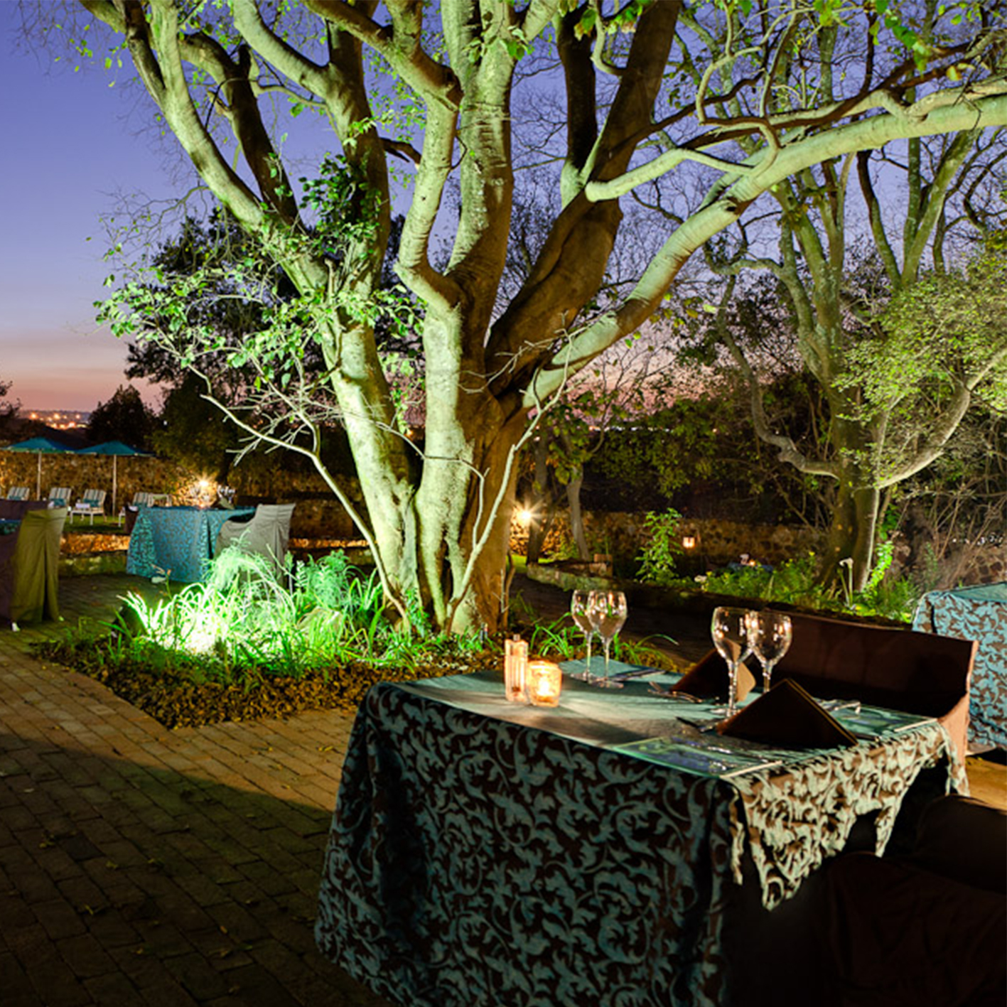 An Evening Under the Stars - Irene Country Lodge